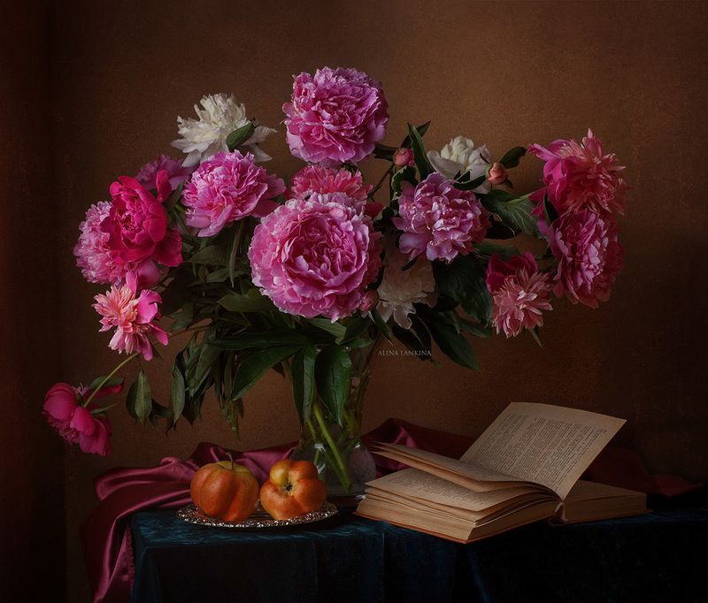 натюрморт, фотонатюрморт, цветы, пионы, розовые пионы, книга, яблоко, вечер, лето, алина ланкина, свет, still life *** фото превью
