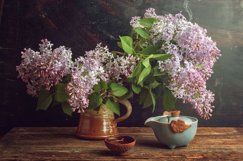 Tea for a Morning фото превью