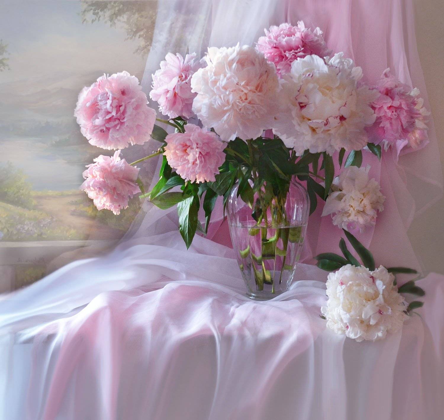 still life, натюрморт,лето, цветы, пионы, фото натюрморт, настроение, Колова Валентина