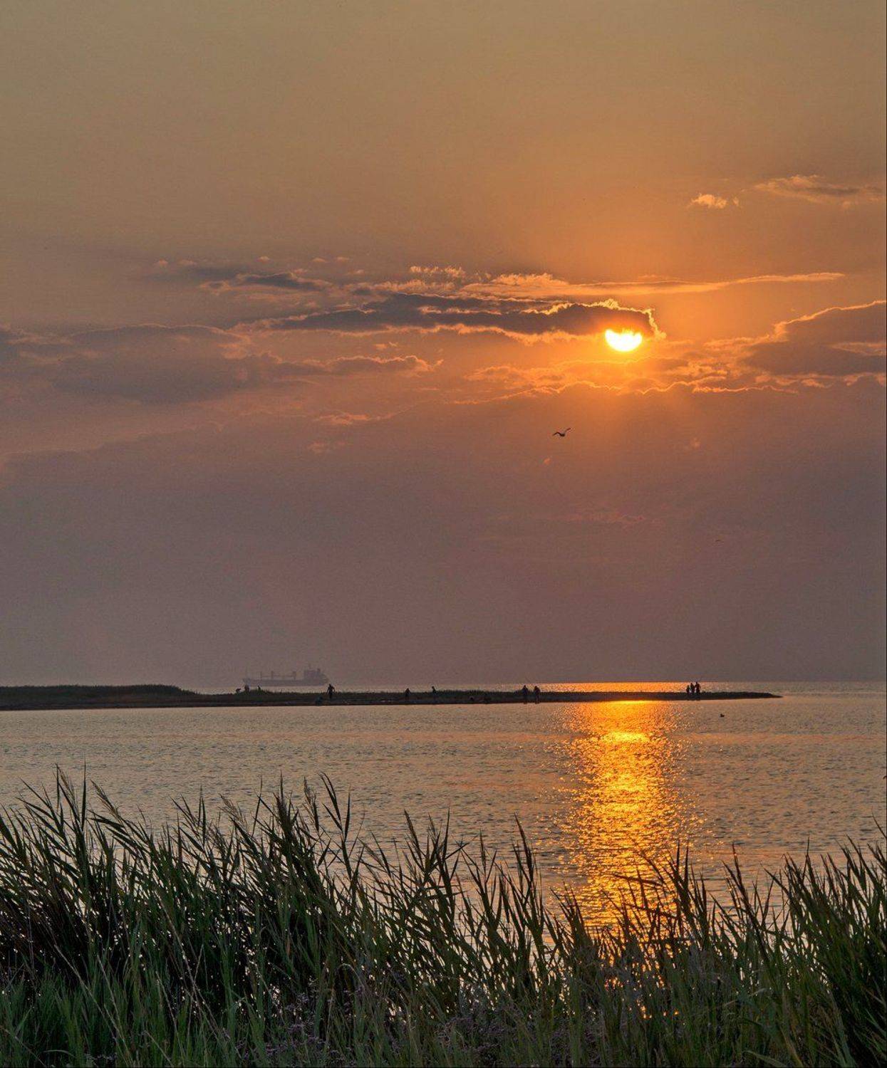 лето, азов, бердянская коса, оголовок, закат, Валерий Наумов