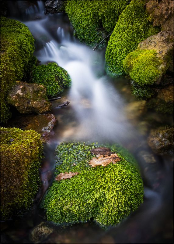 Натюрморт с листиком... фото превью