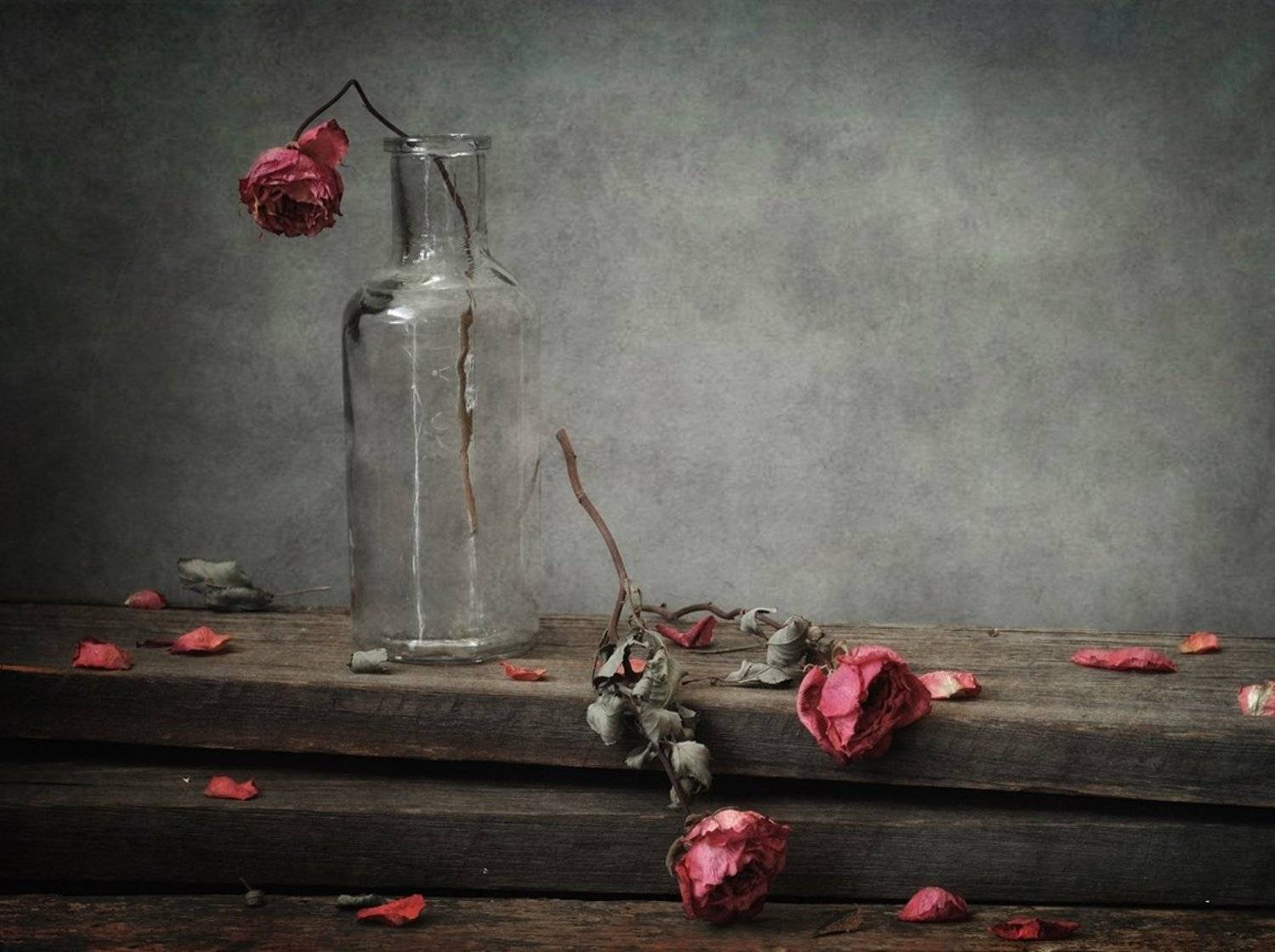 натюрморт,розы, Наталия К