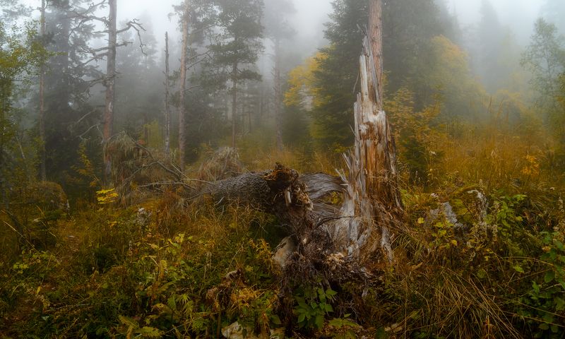 Осень фото превью