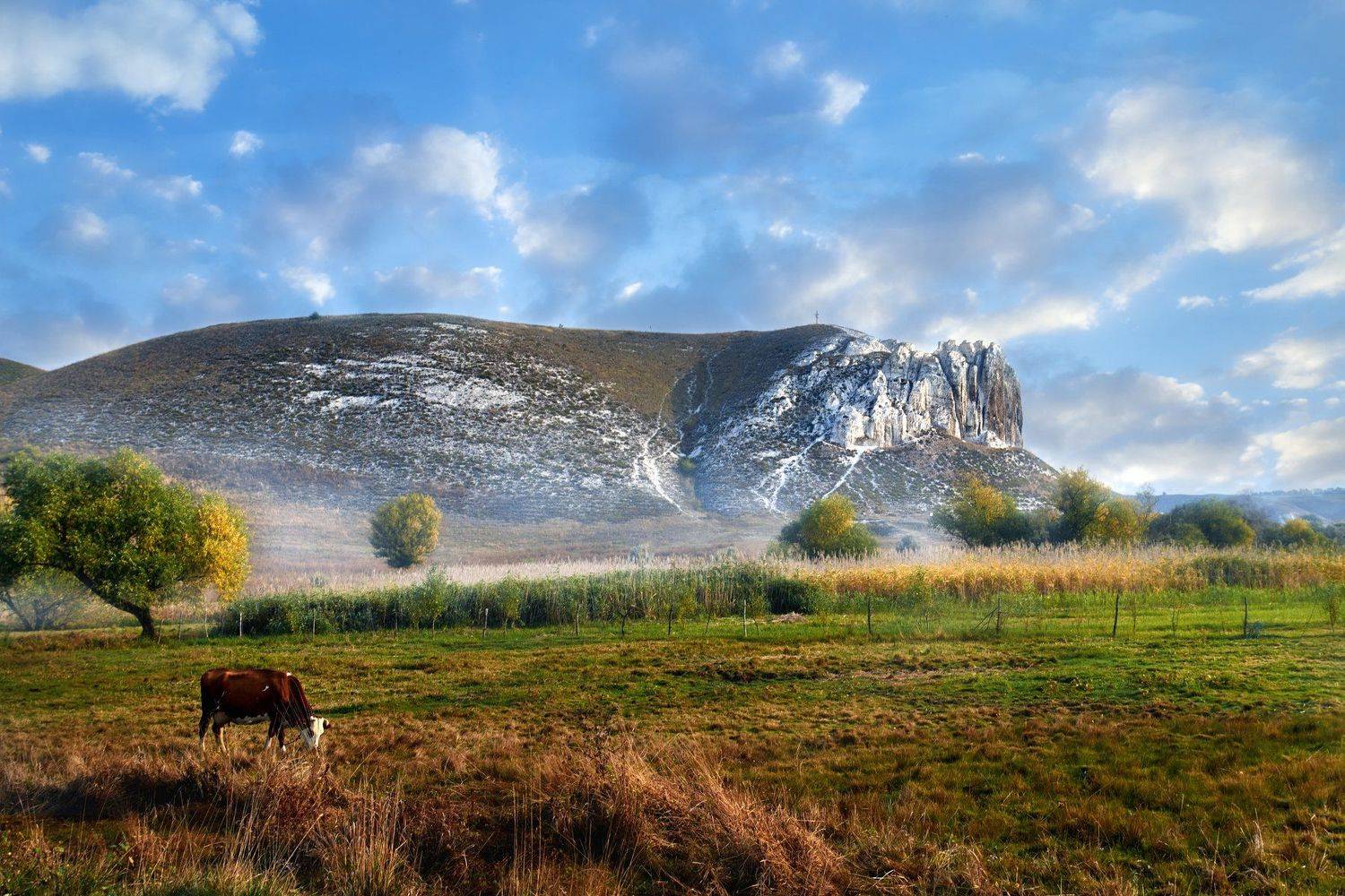 , Алферов Александр