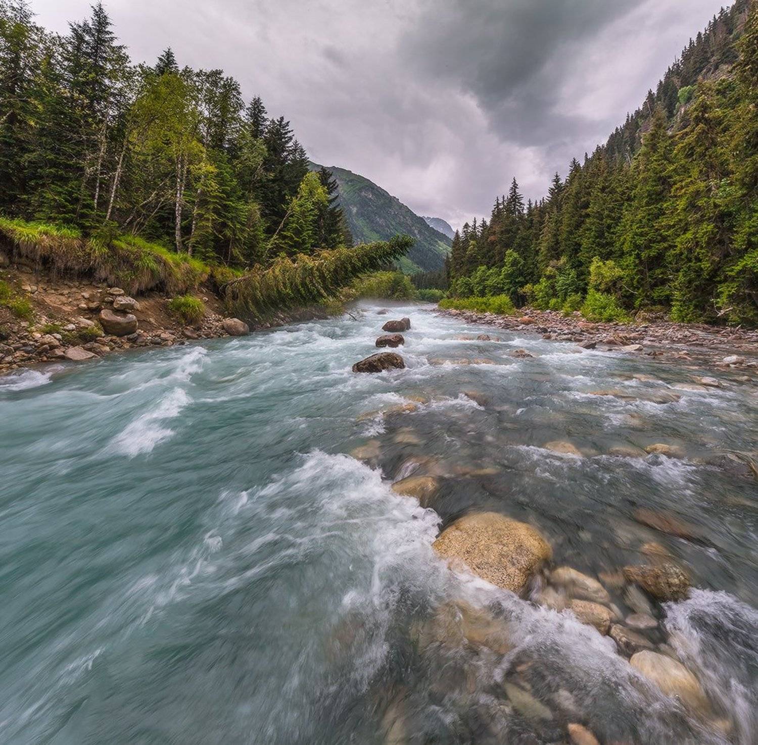 западный кавказ домбай гоначхир лето июнь, Николай Мысливцев