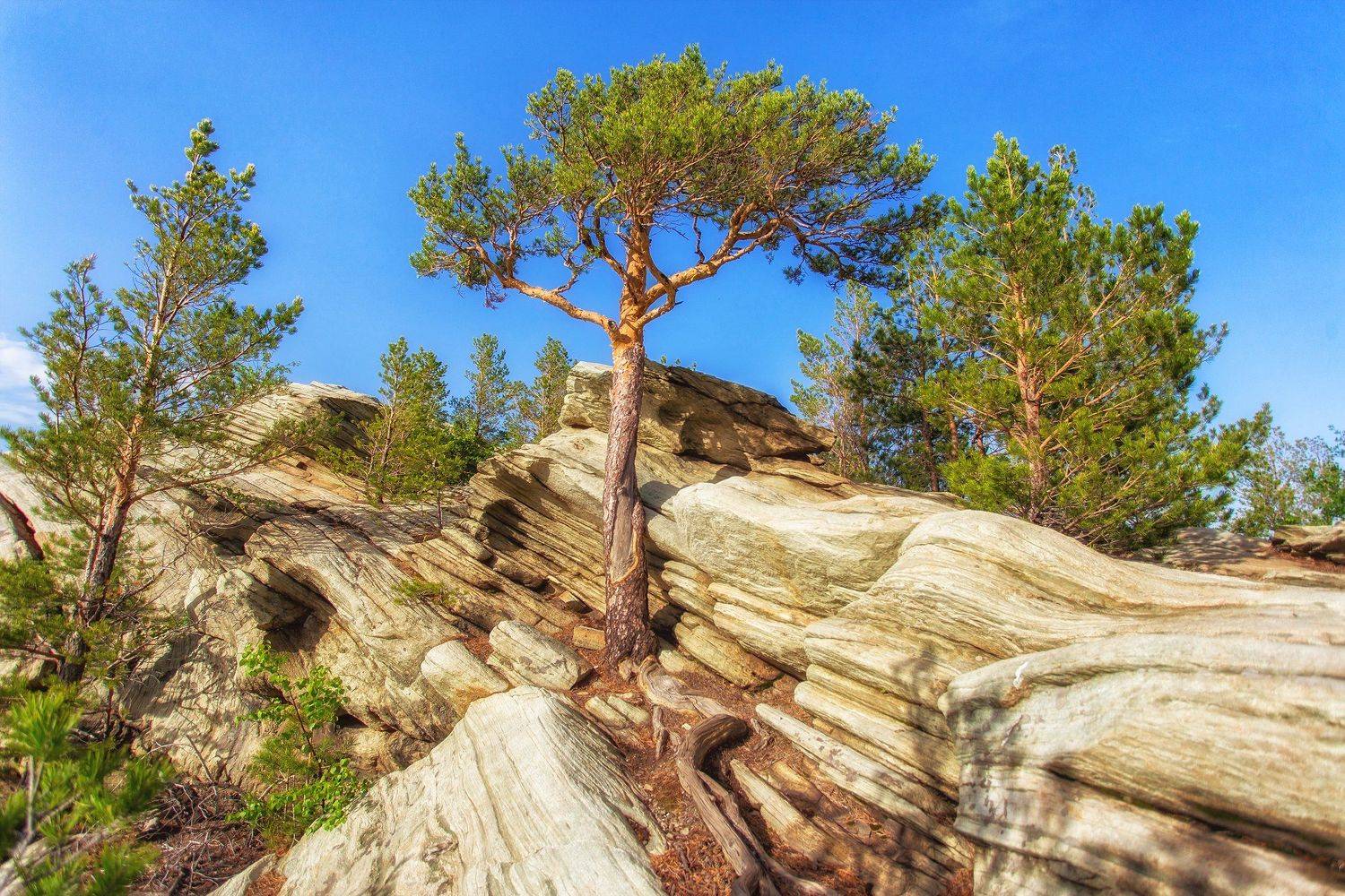 , Павел Сагайдак
