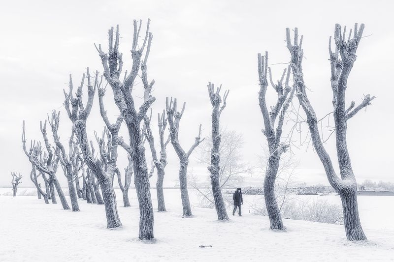 Замороженные фото превью