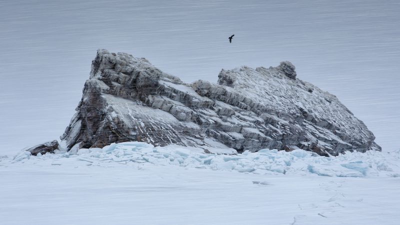 остров, байкал, зима, снег, метель, скалы, ворон, путешествие, стихия, борьба, ненастье, антон селезнев Ворон над островом Еленка фото превью
