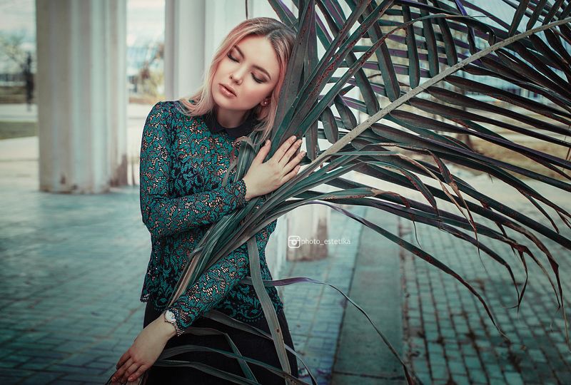 фото превью