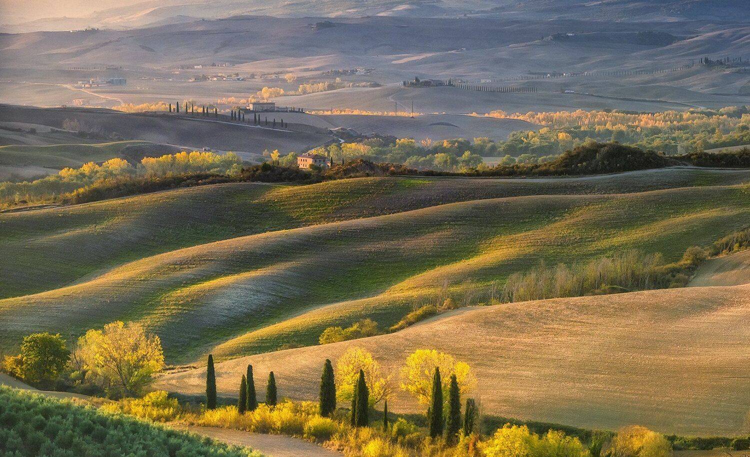 Sunshine of Tuscany. Автор: suk eun kim , suk eun kim