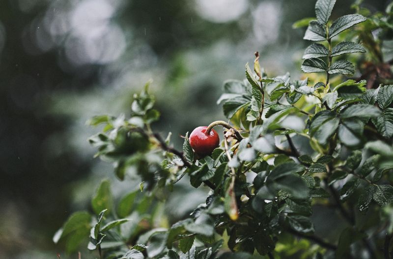 Последний день лета фото превью