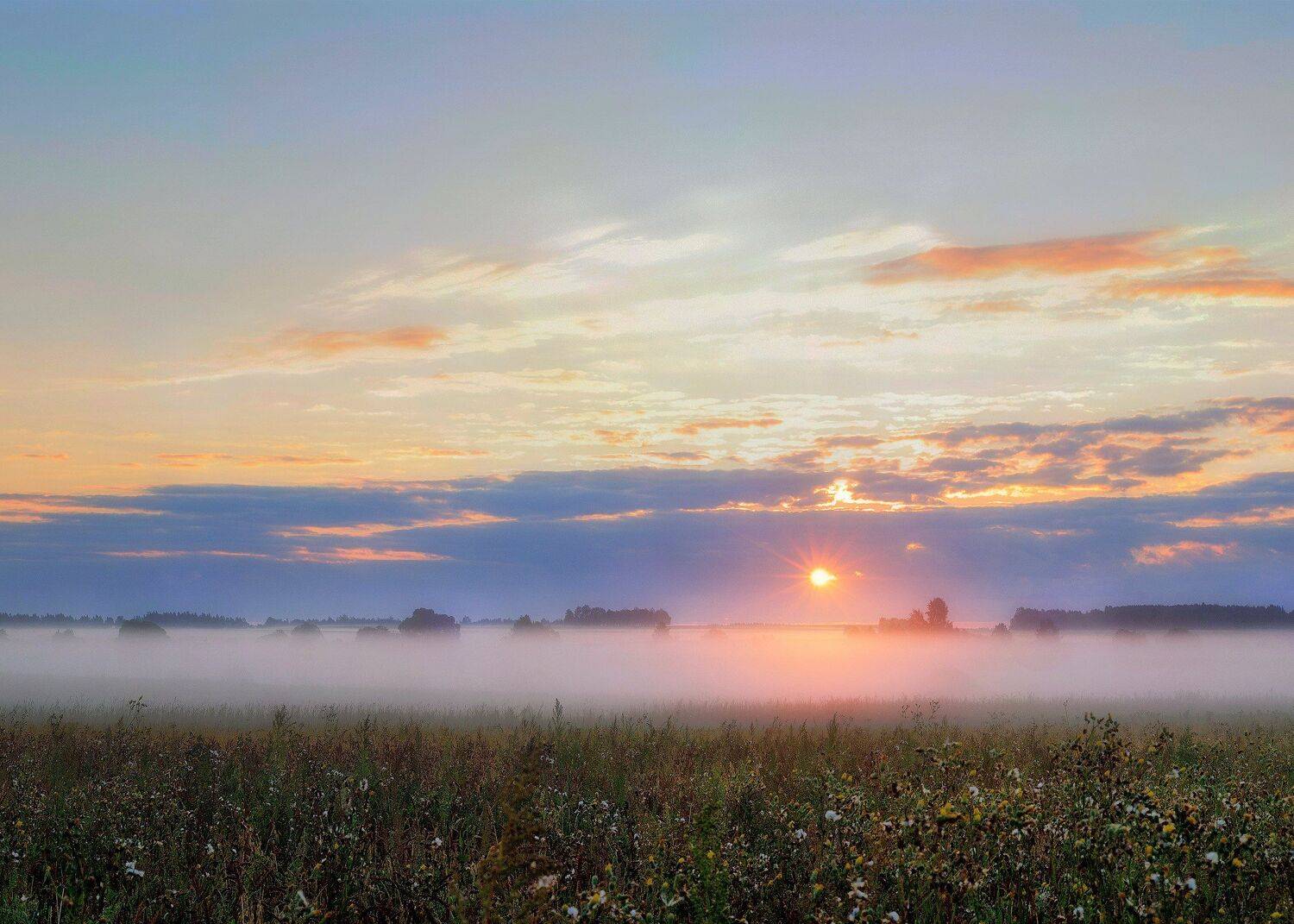 лето, поле, пейзаж, небо, туман, природа, россия, деревня, солнце, новая романовка, Павел Ныриков