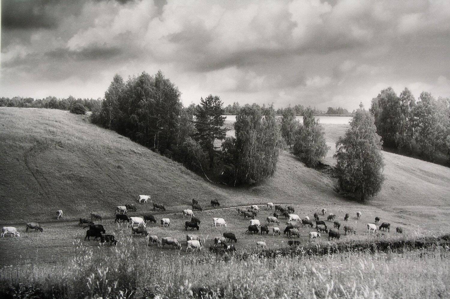 , Виктор Кириллов