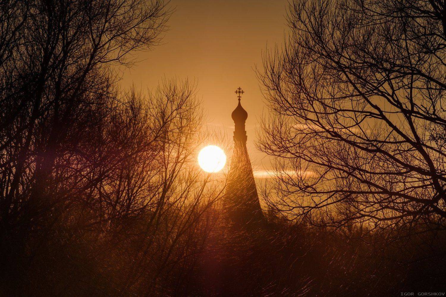 москва,медведково,храм,церковь,солнце,закат,март,купол,крест,пейзаж,архитектура,диск,ветки,деревья, Горшков Игорь