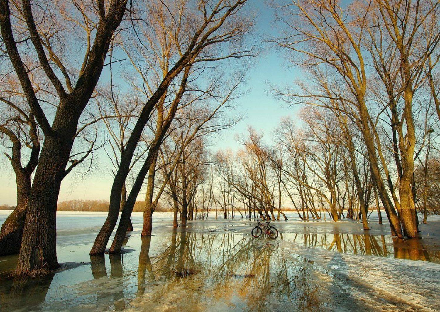 , Сергей Шляга