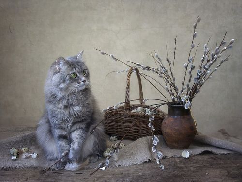 Какие же
