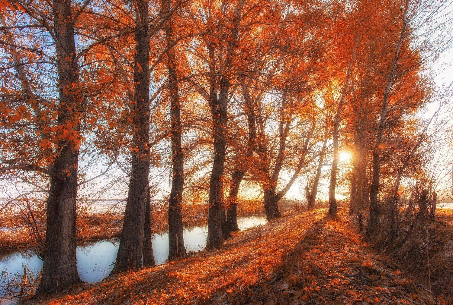 , Павел Сагайдак