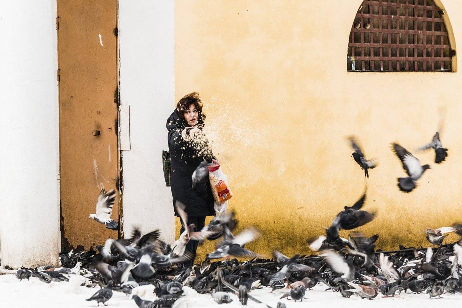 Люди, город, улица, жанр, человек, птицы, голуби, зима,  , АлександрТутаев
