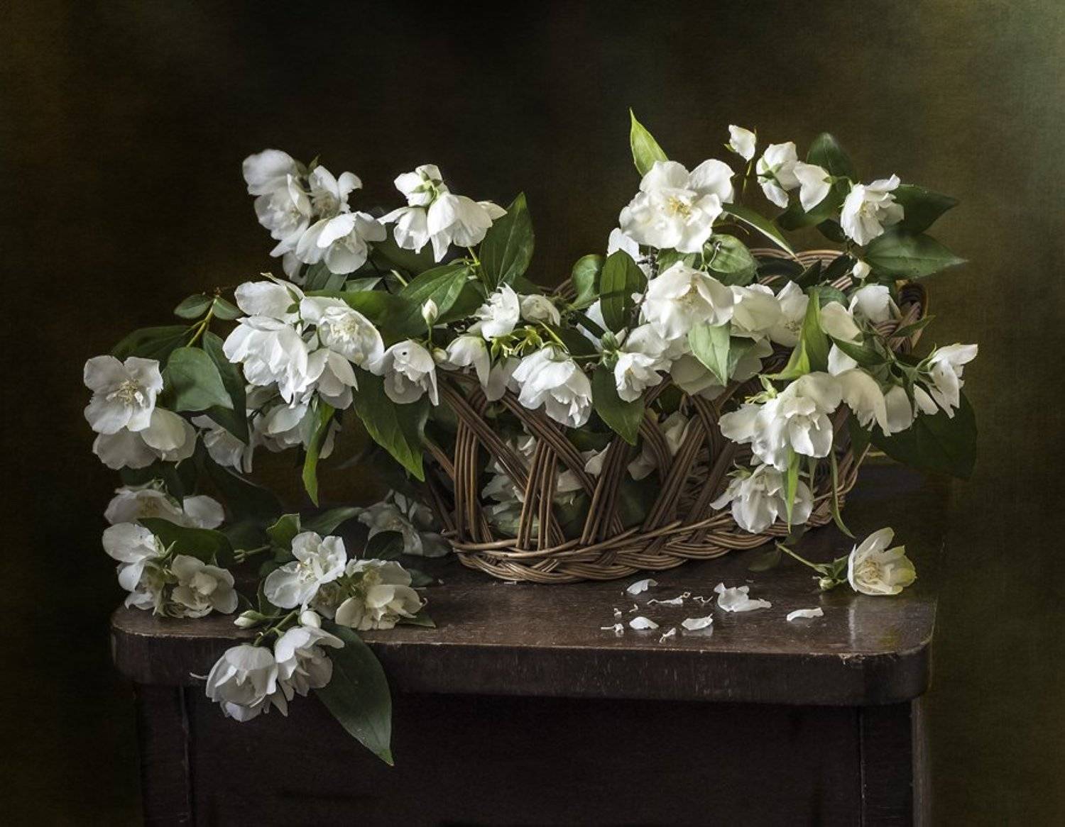 натюрморт, цветы, still life, Оля