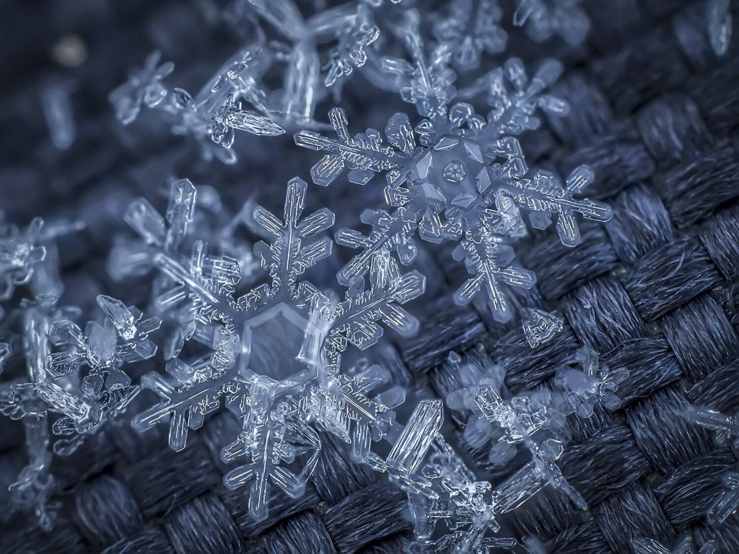 , Евгения Муравская