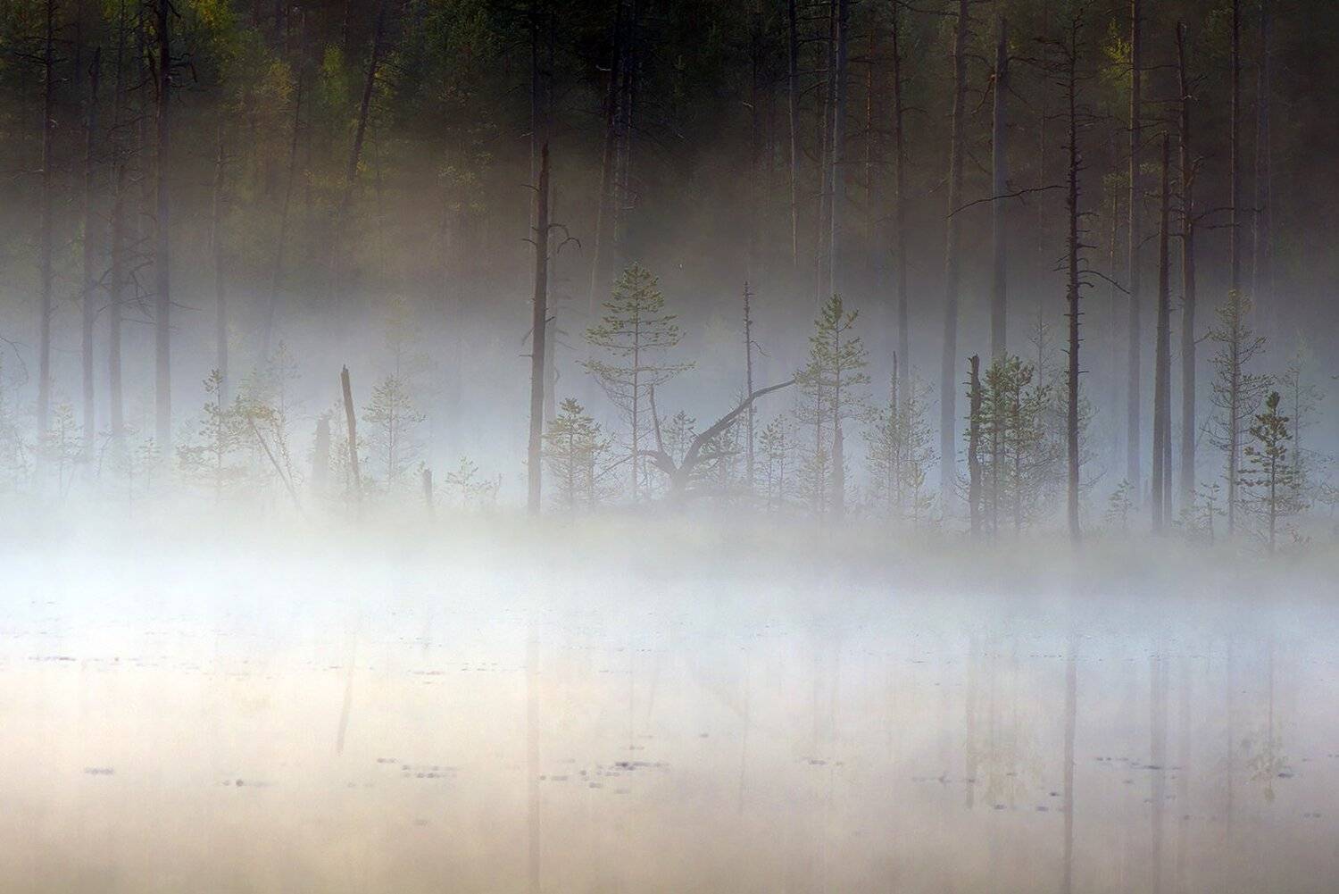 карелия, Виктор