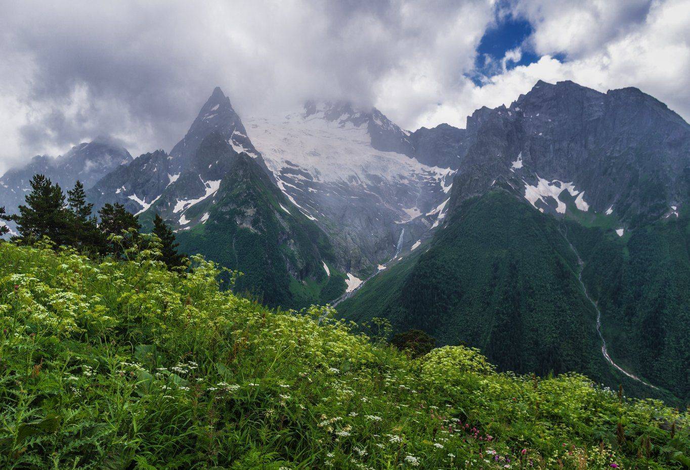 , Игорь Мелекесцев