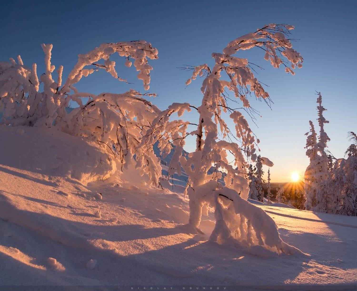 , Николай Обухов