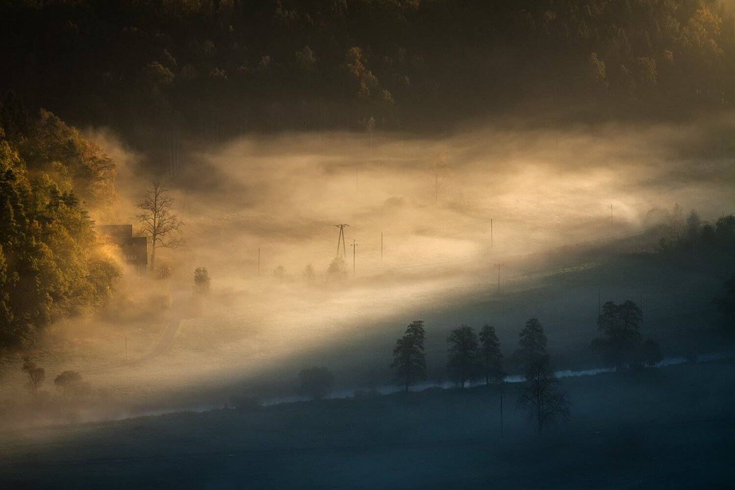 landscape,canon,mist,light,autumn, Iza i Darek Mitręga