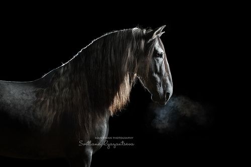 the Dragon's breath