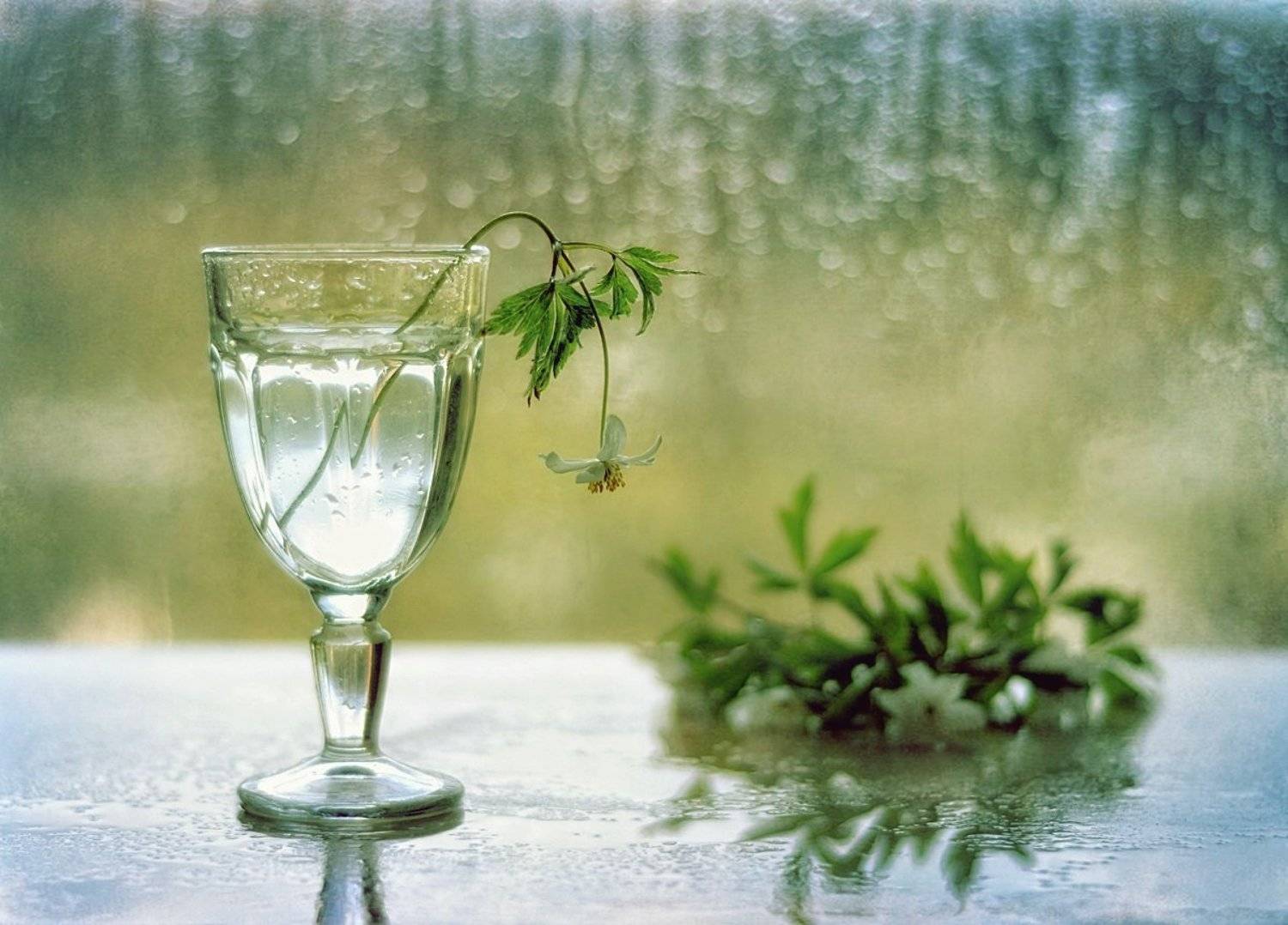 натюрморт,весна, Наталия К