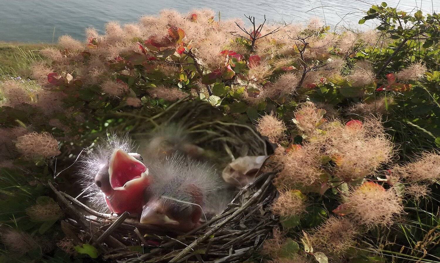 одесса, Сергей Кошелев