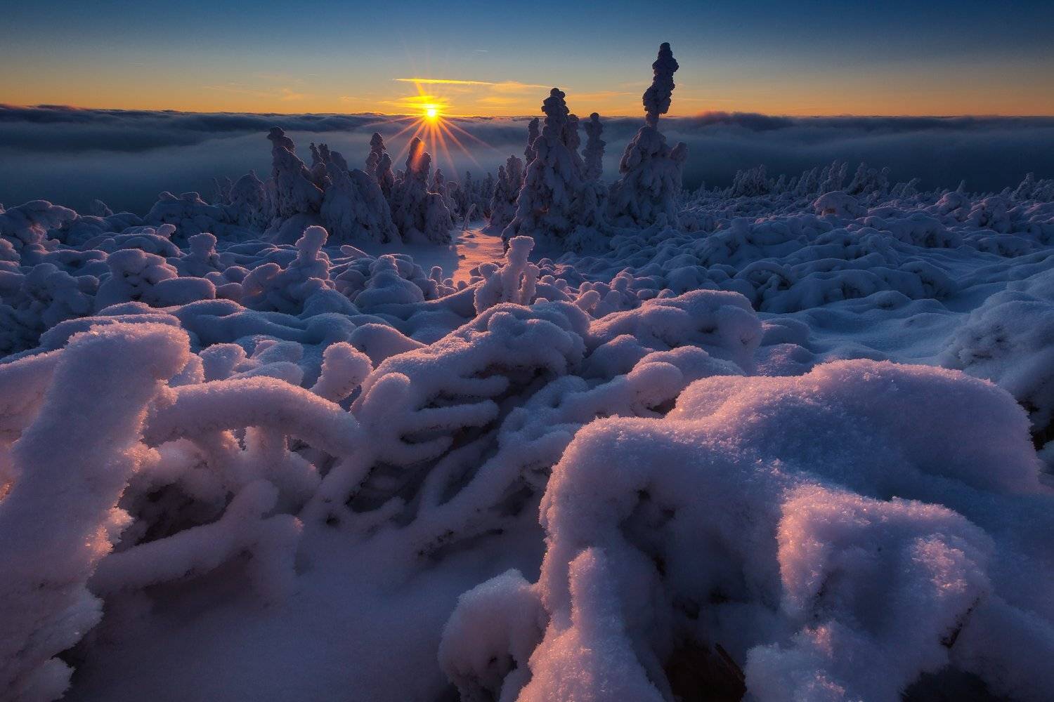 , Pawel Uchorczak