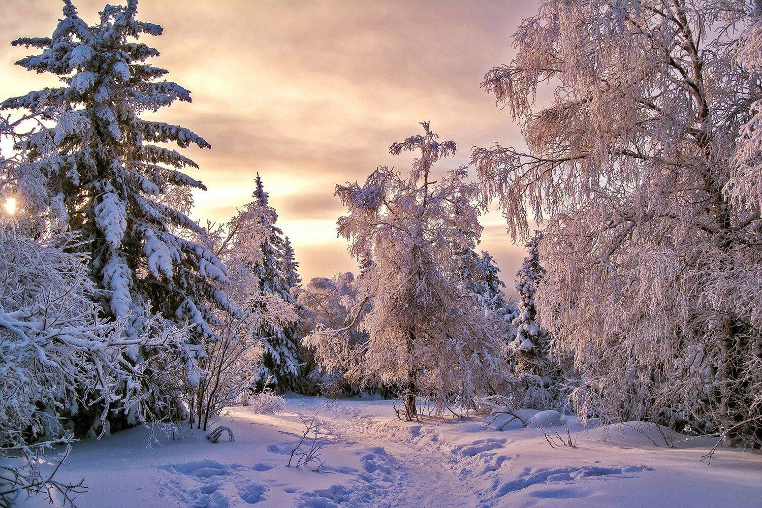 , Андрей Шарапов