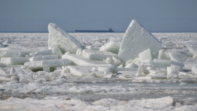 Будет ли лето этой зимой? фото превью