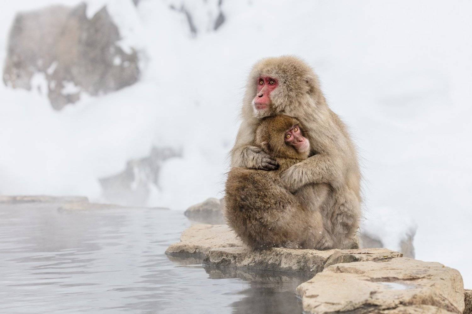 , Алексей Сулоев