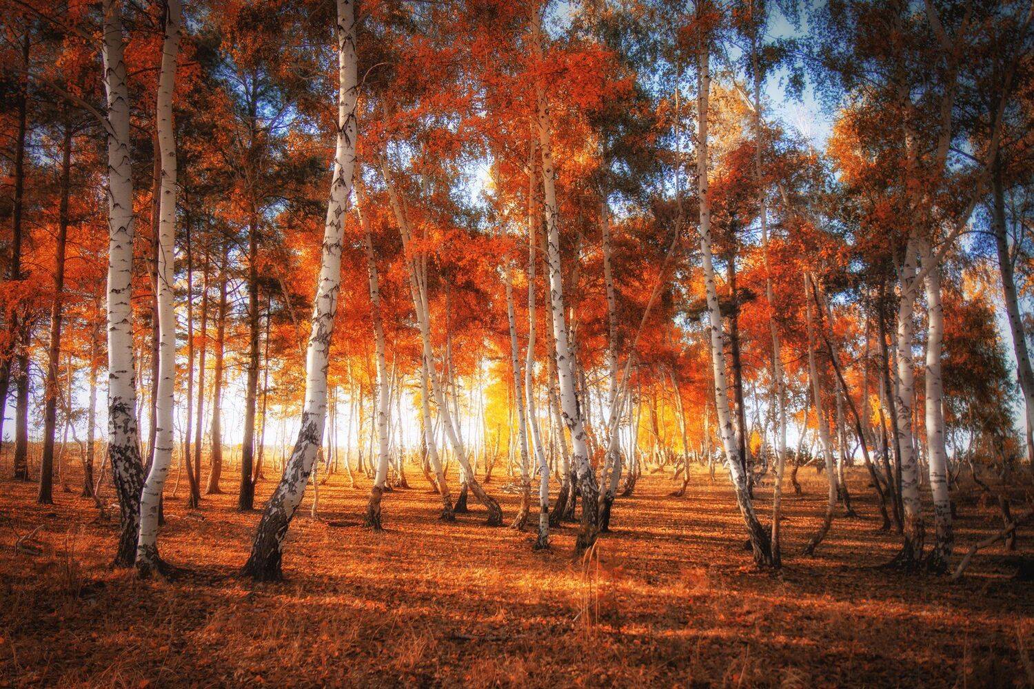 , Павел Сагайдак