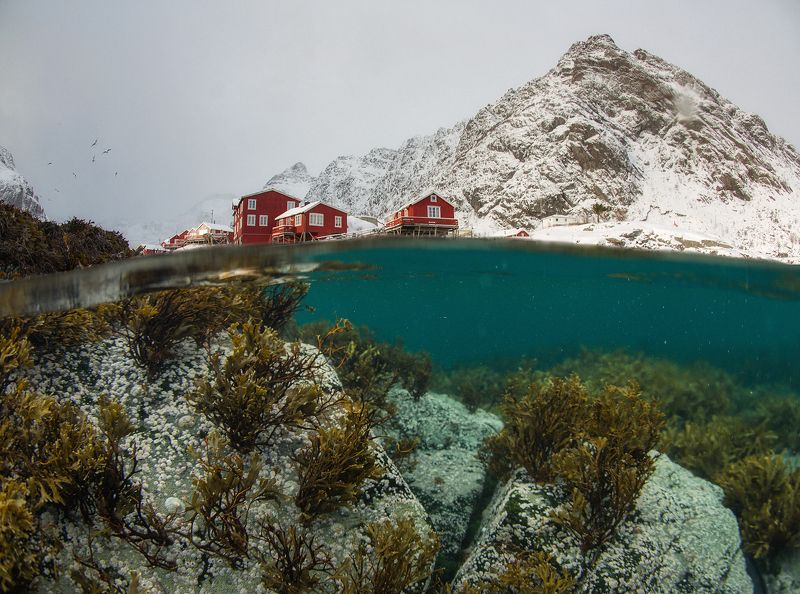 Two Worlds. Underwater Lofoten.
