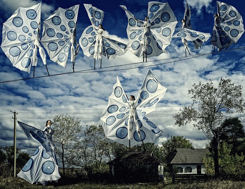 Бабочки -  Butterflies фото превью