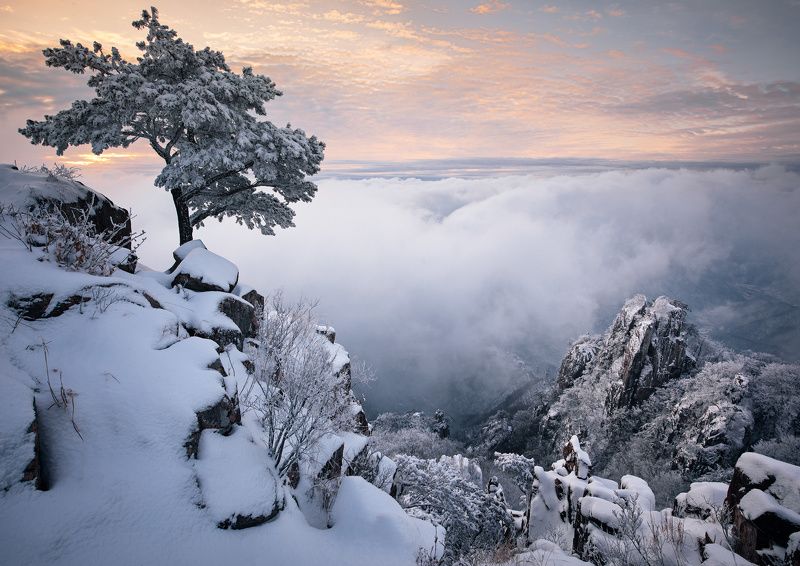 General\'s Watchman фото превью