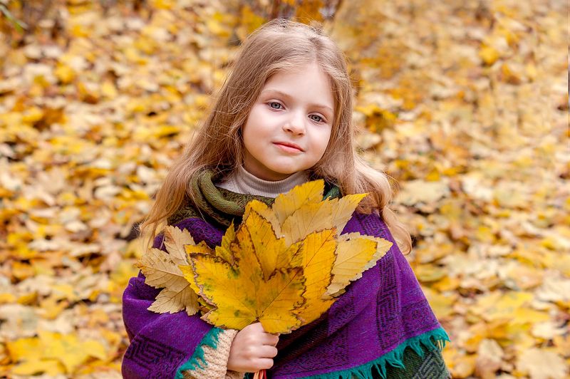 портрет,люди,образ,взгляд Александра. фото превью
