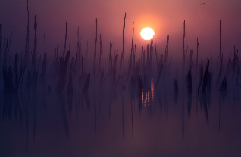 Вне времени фото превью