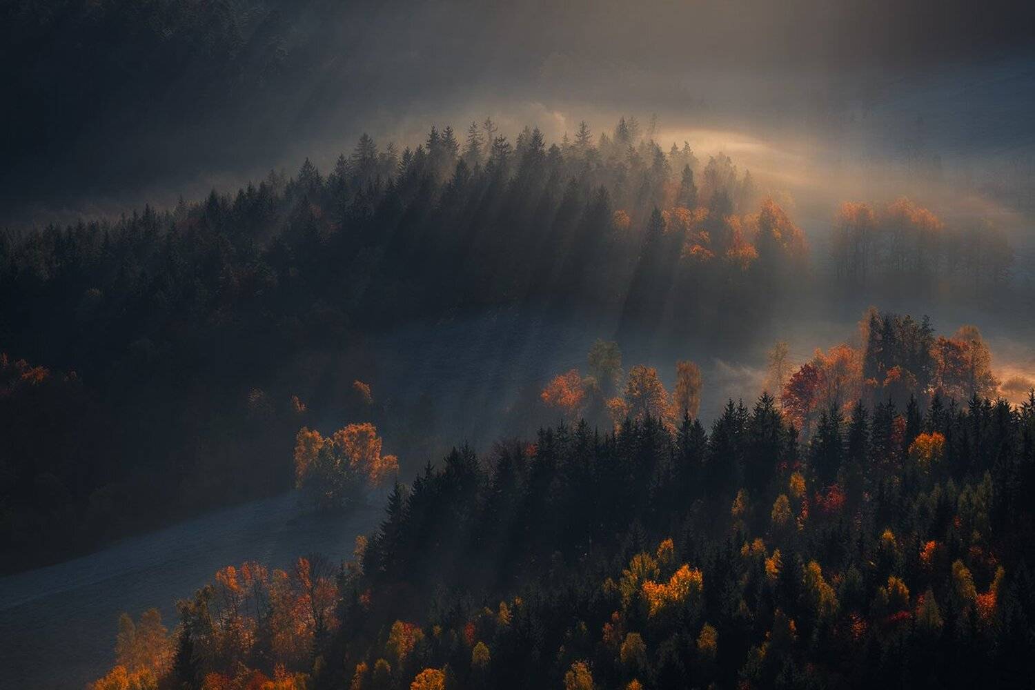 landscape,canon,mist,light,autumn, Iza i Darek Mitręga