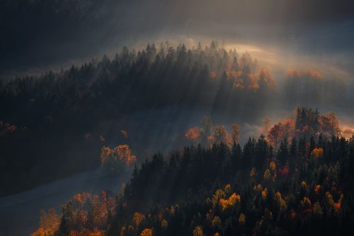 Autumn is Here,Autumn Has Come