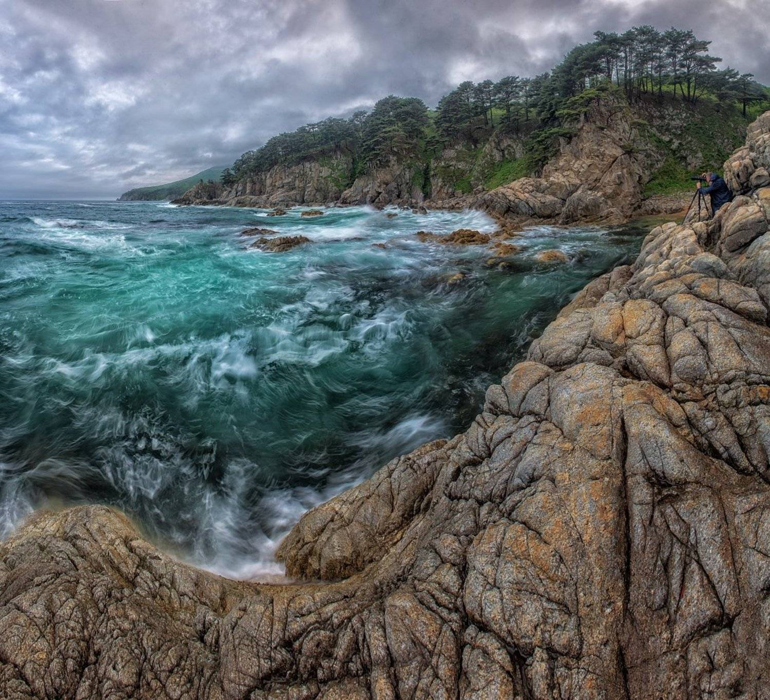 , Толмачев Дмитрий