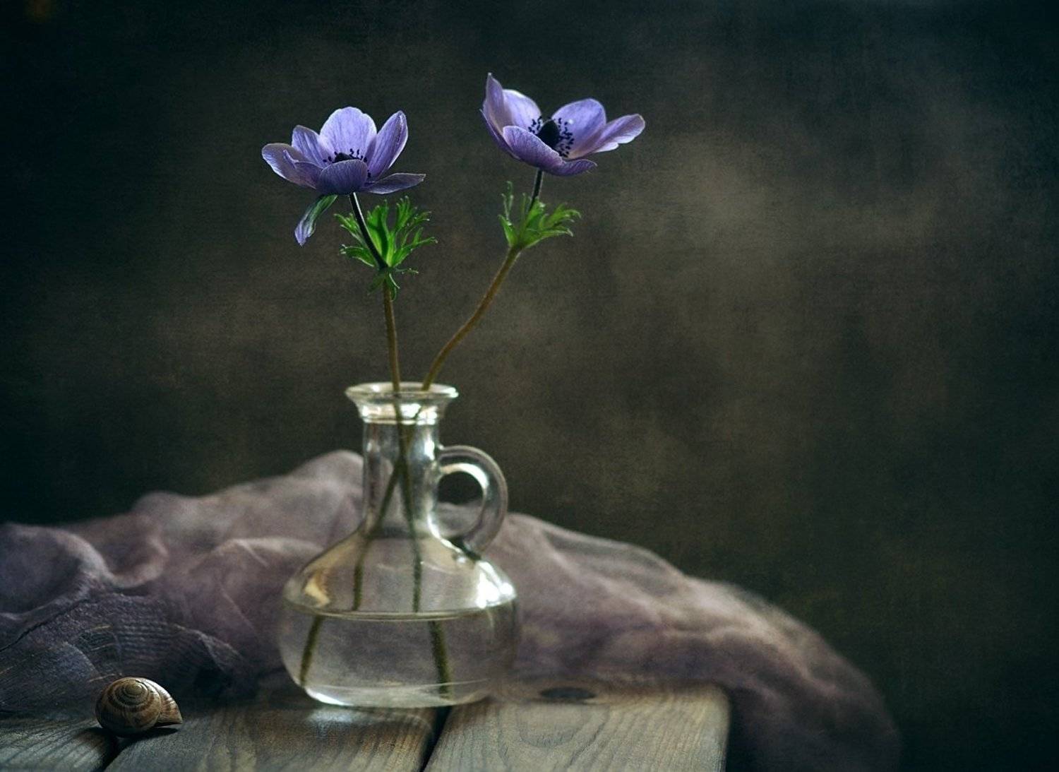 натюрморт,анемоны, Наталия К