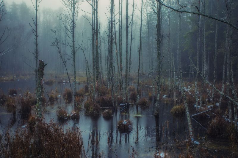 Xаос фото превью