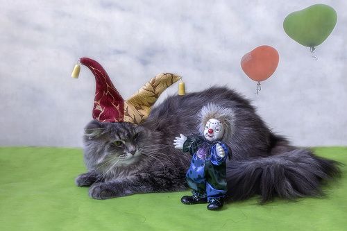 Имейте в виду, что День Дурака, а не дуры!