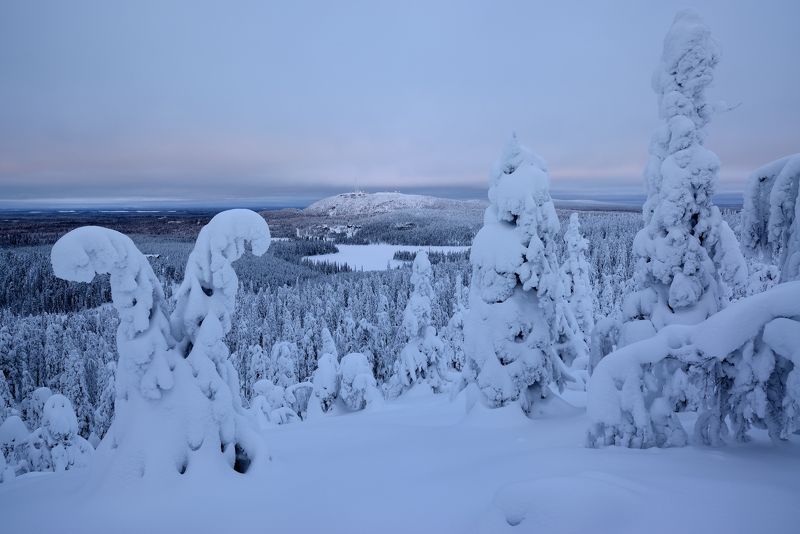 *** фото превью