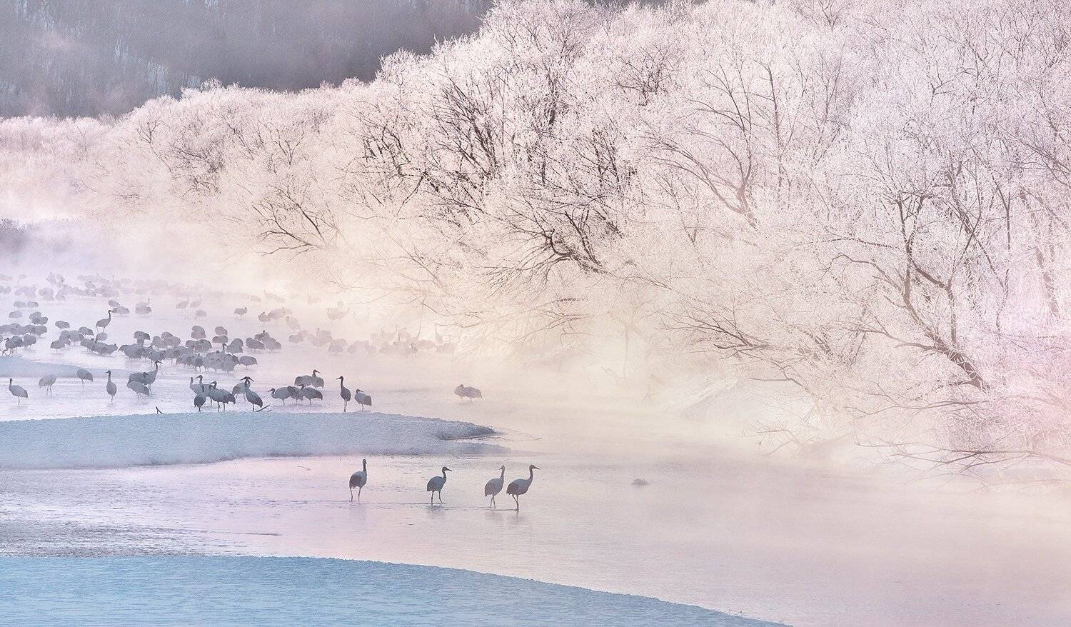 , suk eun kim