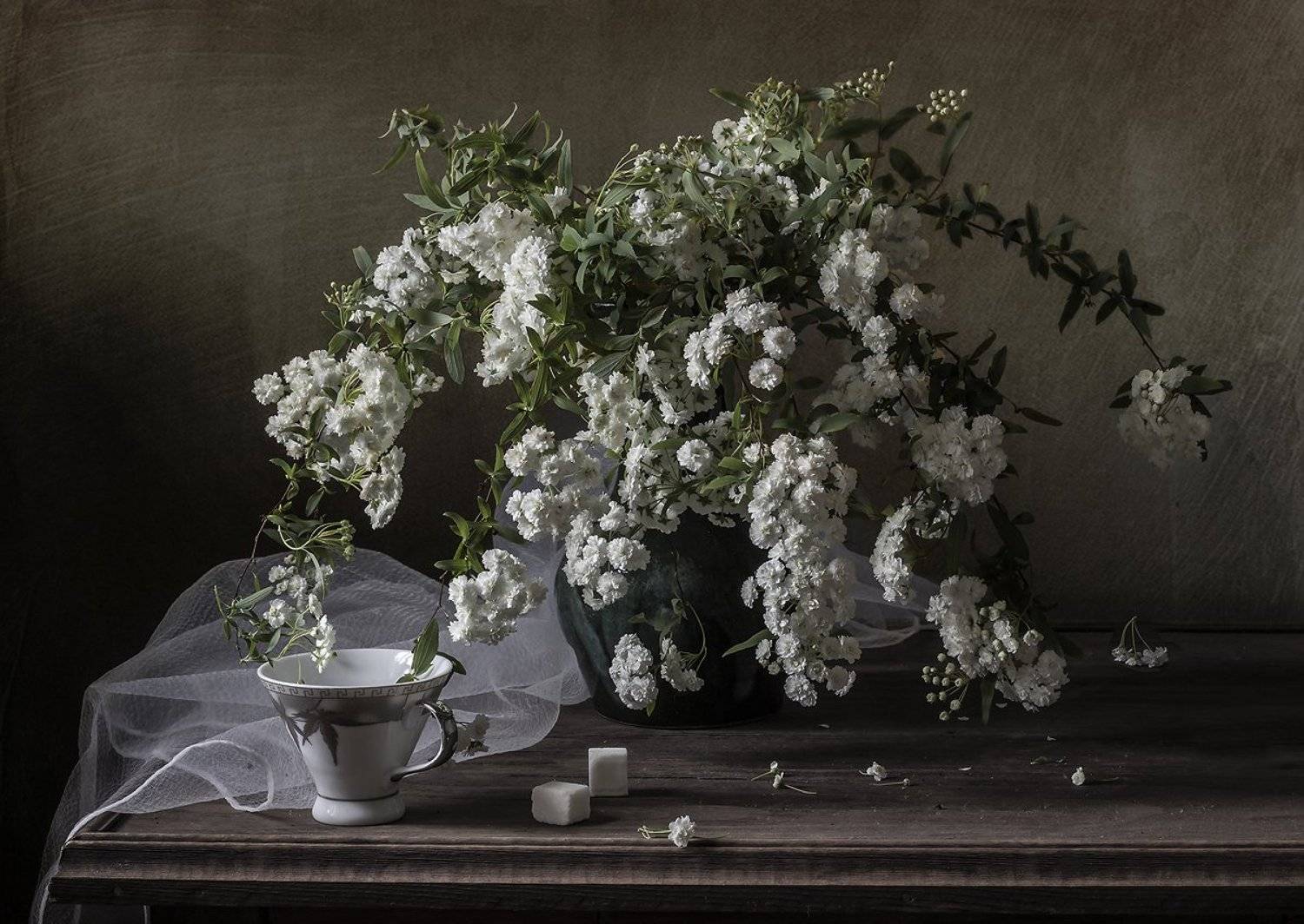 натюрморт, цветы, still life, Оля